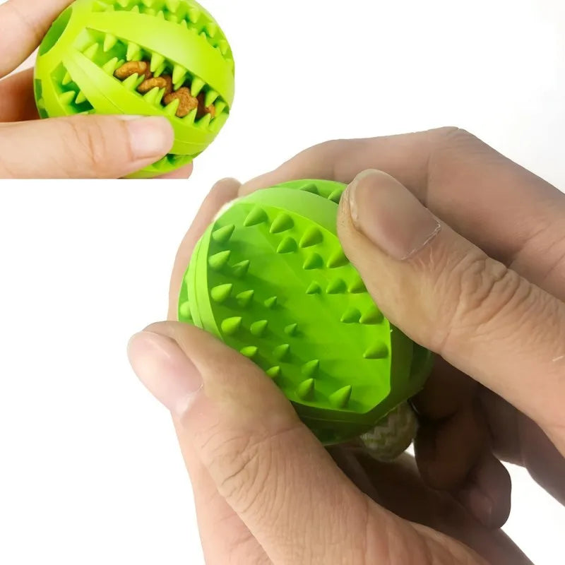 Dog Tug Rope, Treat Ball & Chew Toy