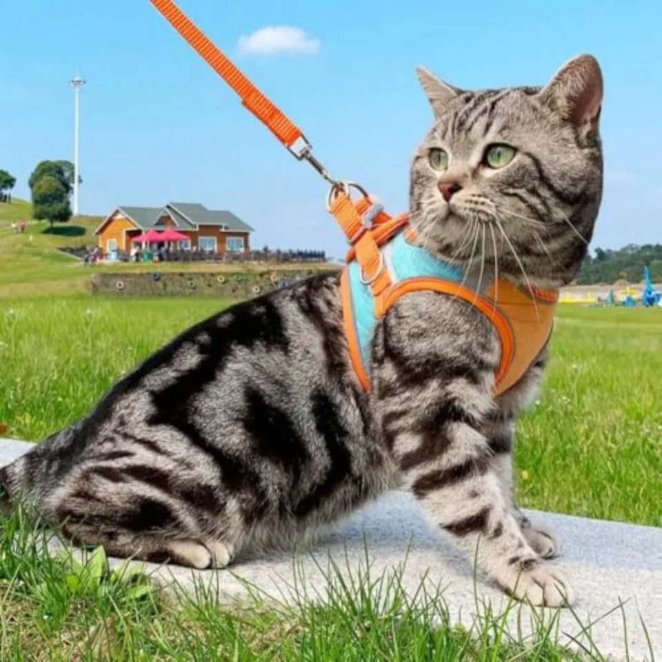 Reflective Escape-Proof Cat Harness & Leash