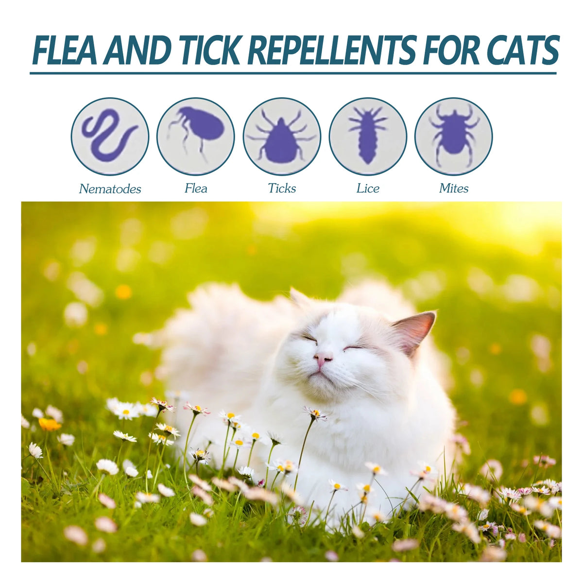 Flea & Tick Drops for Dogs & Cats, 50ml