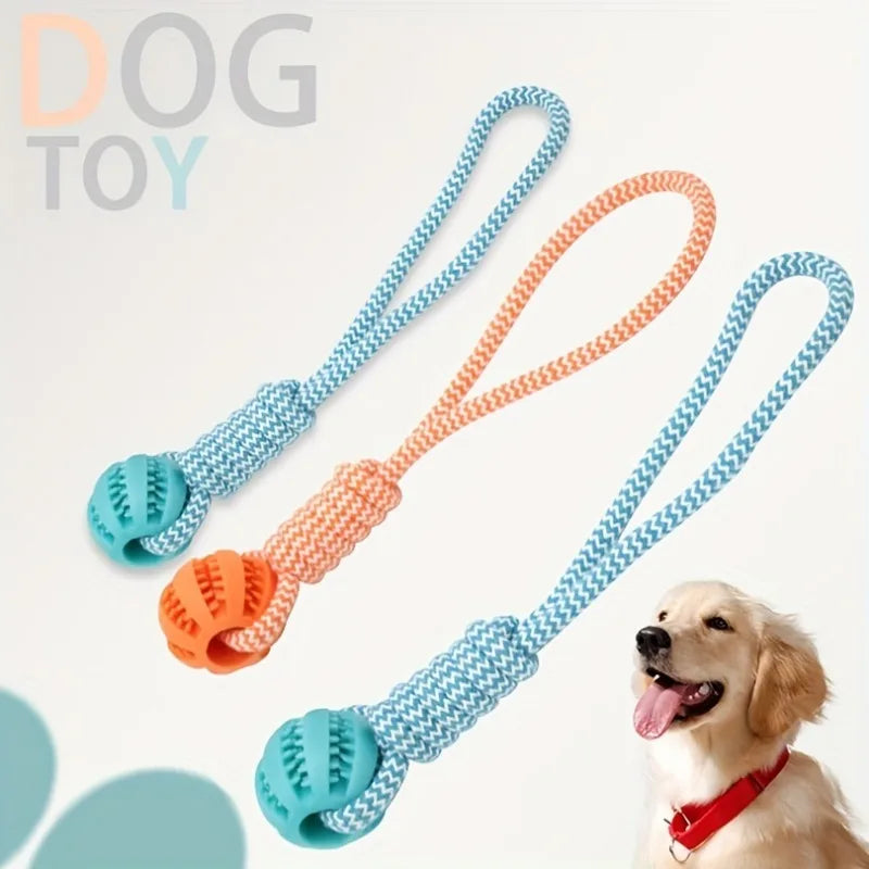 Dog Tug Rope, Treat Ball & Chew Toy