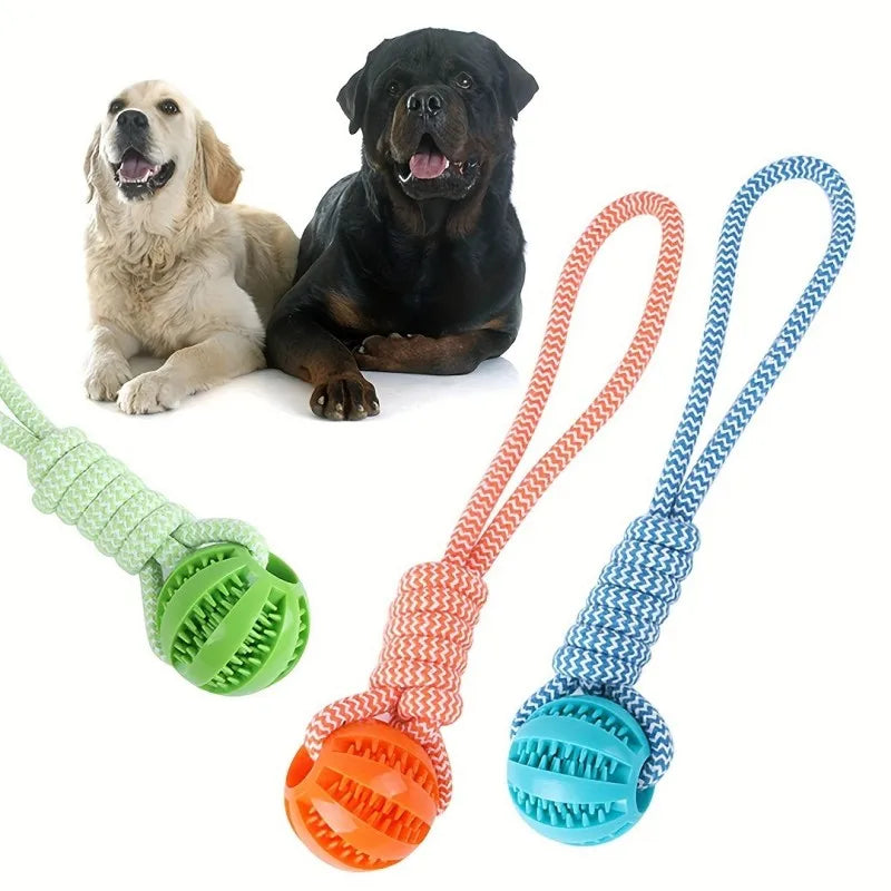 Dog Tug Rope, Treat Ball & Chew Toy