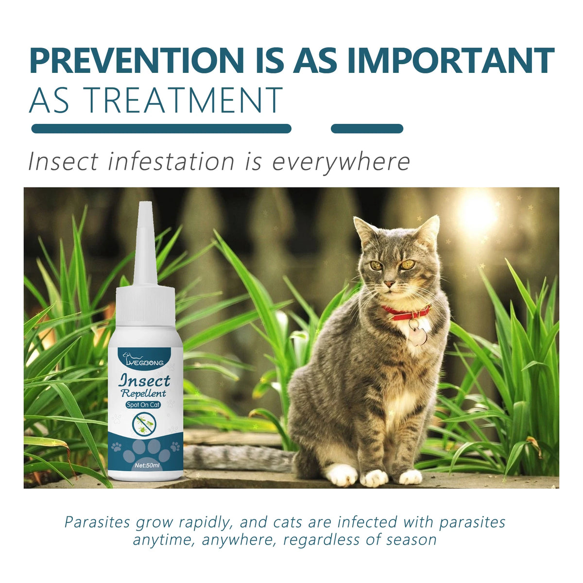 Flea & Tick Drops for Dogs & Cats, 50ml