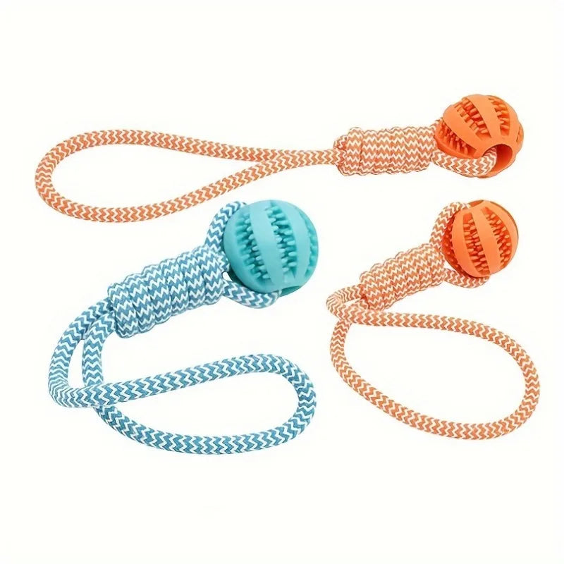 Dog Tug Rope, Treat Ball & Chew Toy