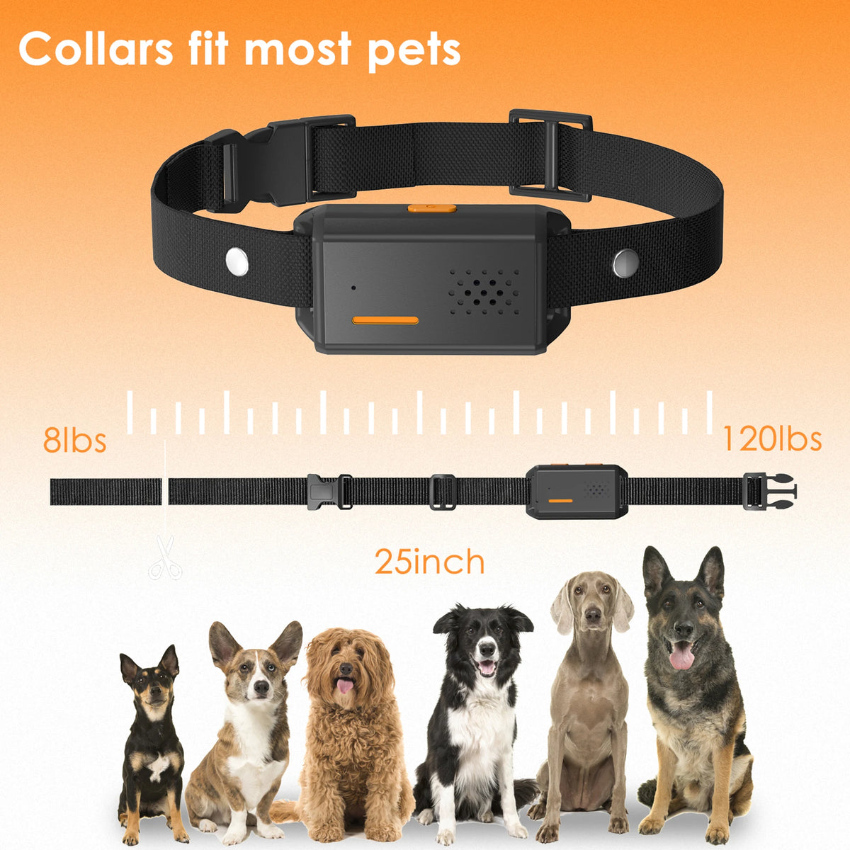 Remote Dog Training & Anti-Bark Collar