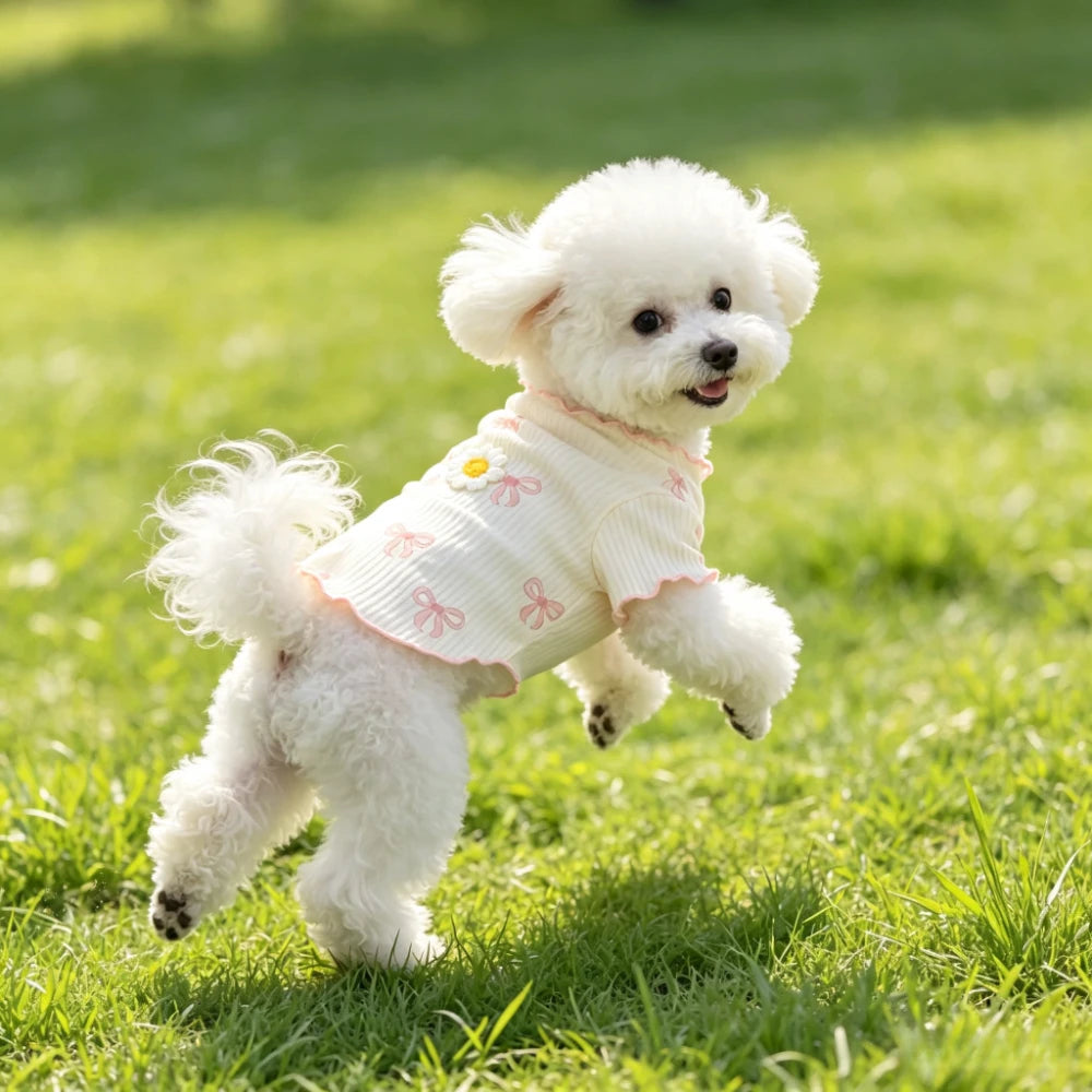Elastic Dog Tshirt Soft Pet Vest Breathable Lightweight Summer Wear Comfortable for Small Dogs Cats Cute Design Pet Clothing