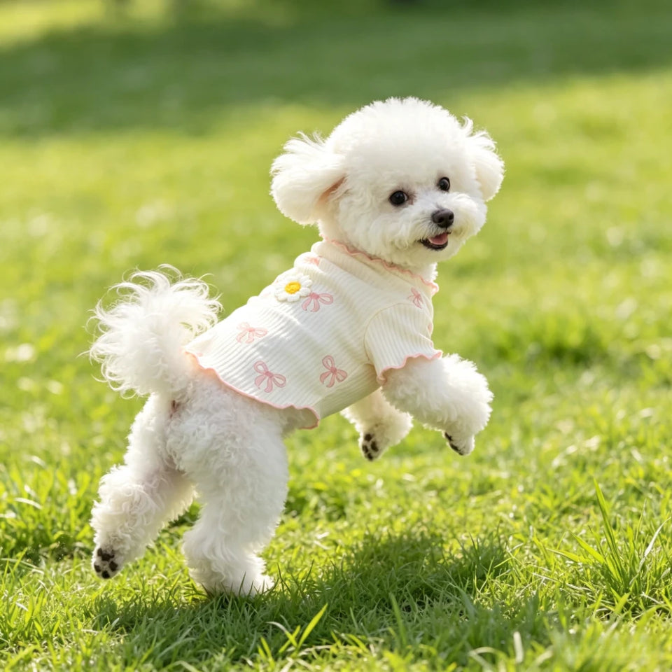 Elastic Dog Tshirt Soft Pet Vest Breathable Lightweight Summer Wear Comfortable for Small Dogs Cats Cute Design Pet Clothing