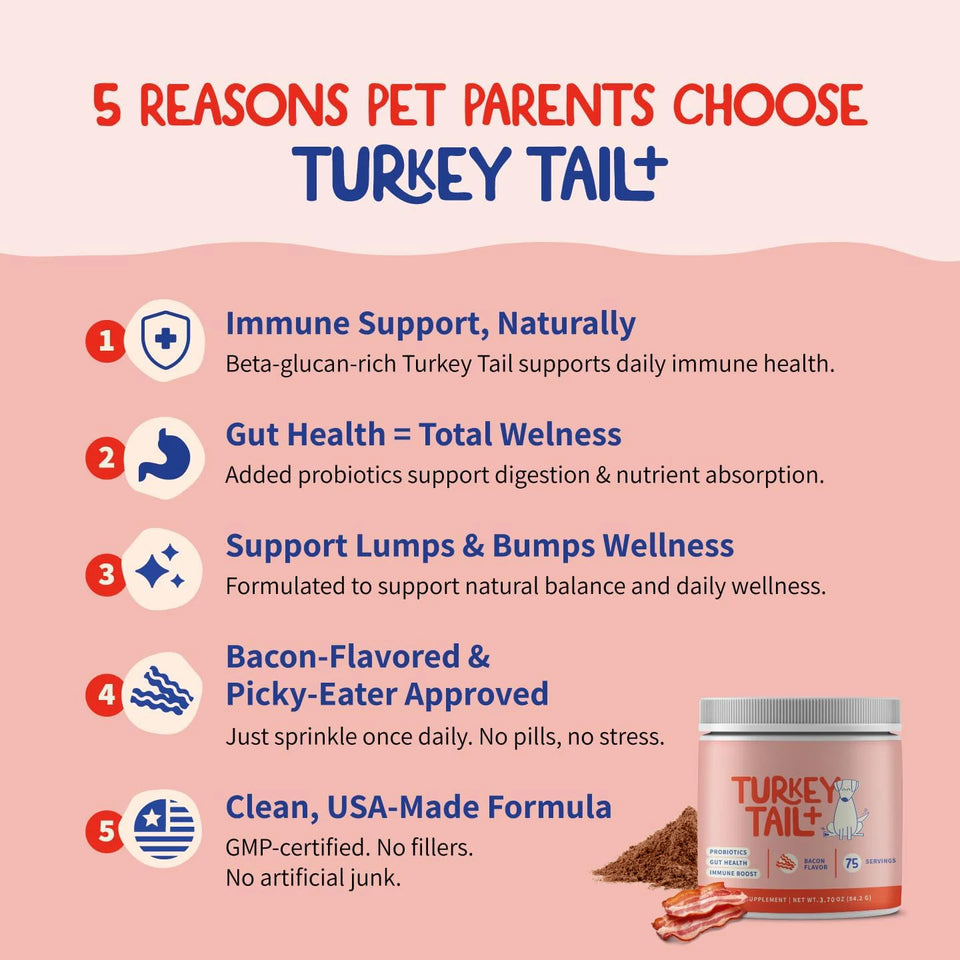 Turkey Tail Mushroom Supplement for Dogs