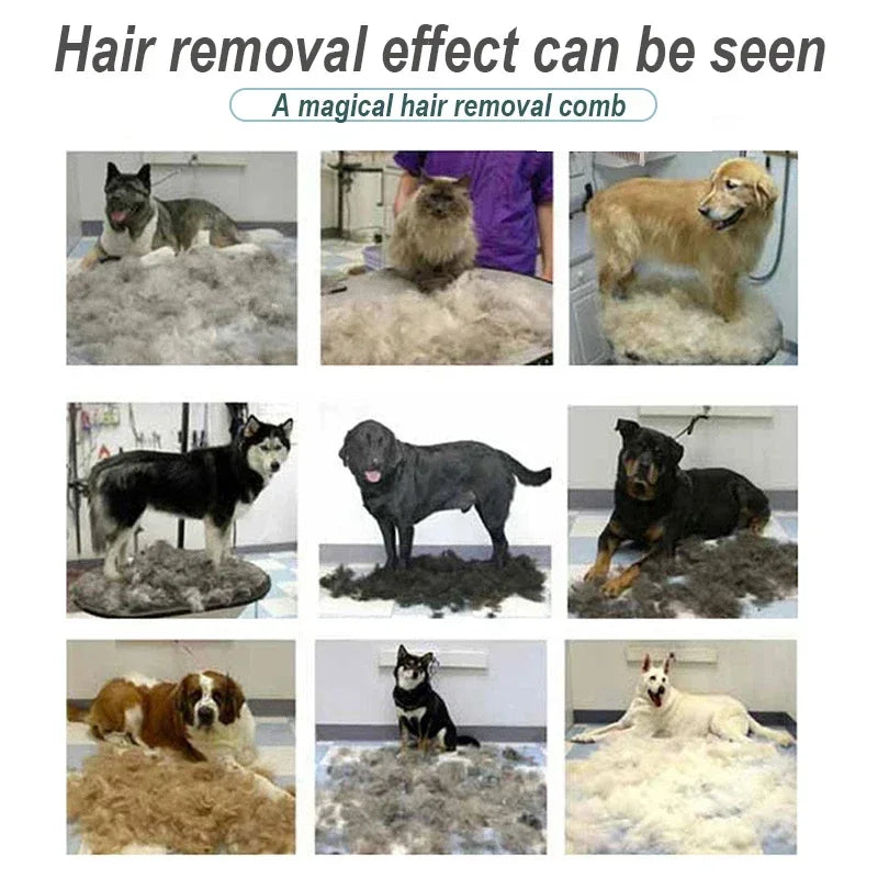 Massage & Deshedding Brush for Dogs and Cats