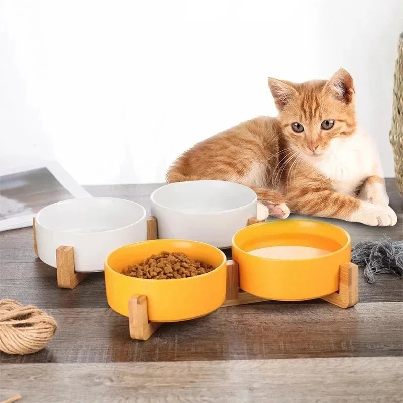 Spill-Resistant Double Ceramic Pet Bowls