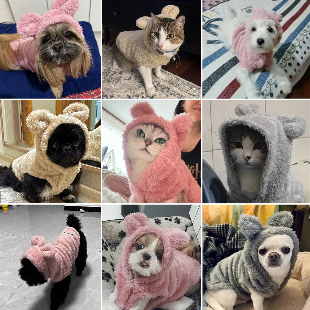 Cute Hooded Dog Cat Clothes Autumn Winter Warm Plush Jacket Soft Pet Hoodie for Small Dogs Kitten Puppy Cozy Fleece Coat Sweater