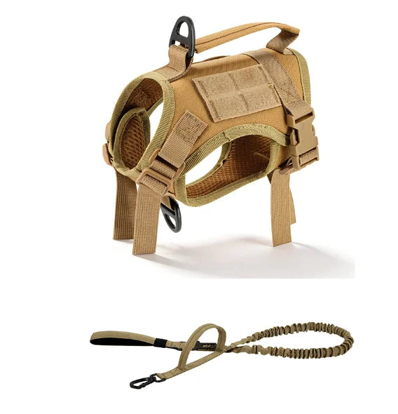 Escape-Proof Tactical Cat Harness & Leash Set