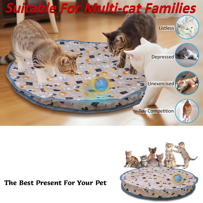 Interactive Cat Toys Ball Cover Set Fast Rolling in Pouch Hide and Seek Kitten Toy Motion Activated Interactive Cat Toy Indoor