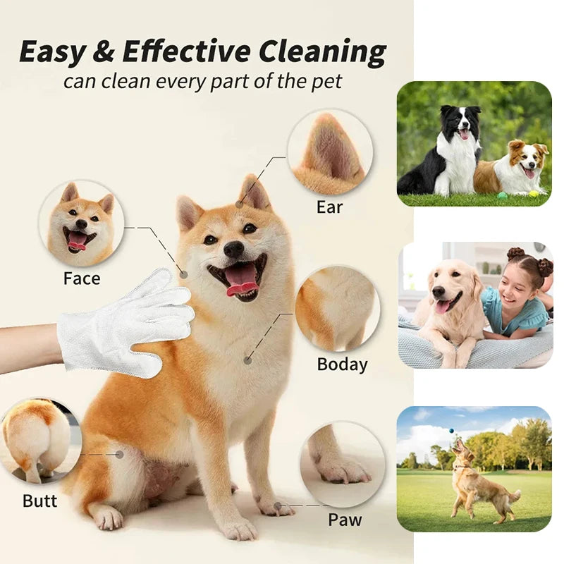 No-Rinse Grooming Glove Wipes for Pets