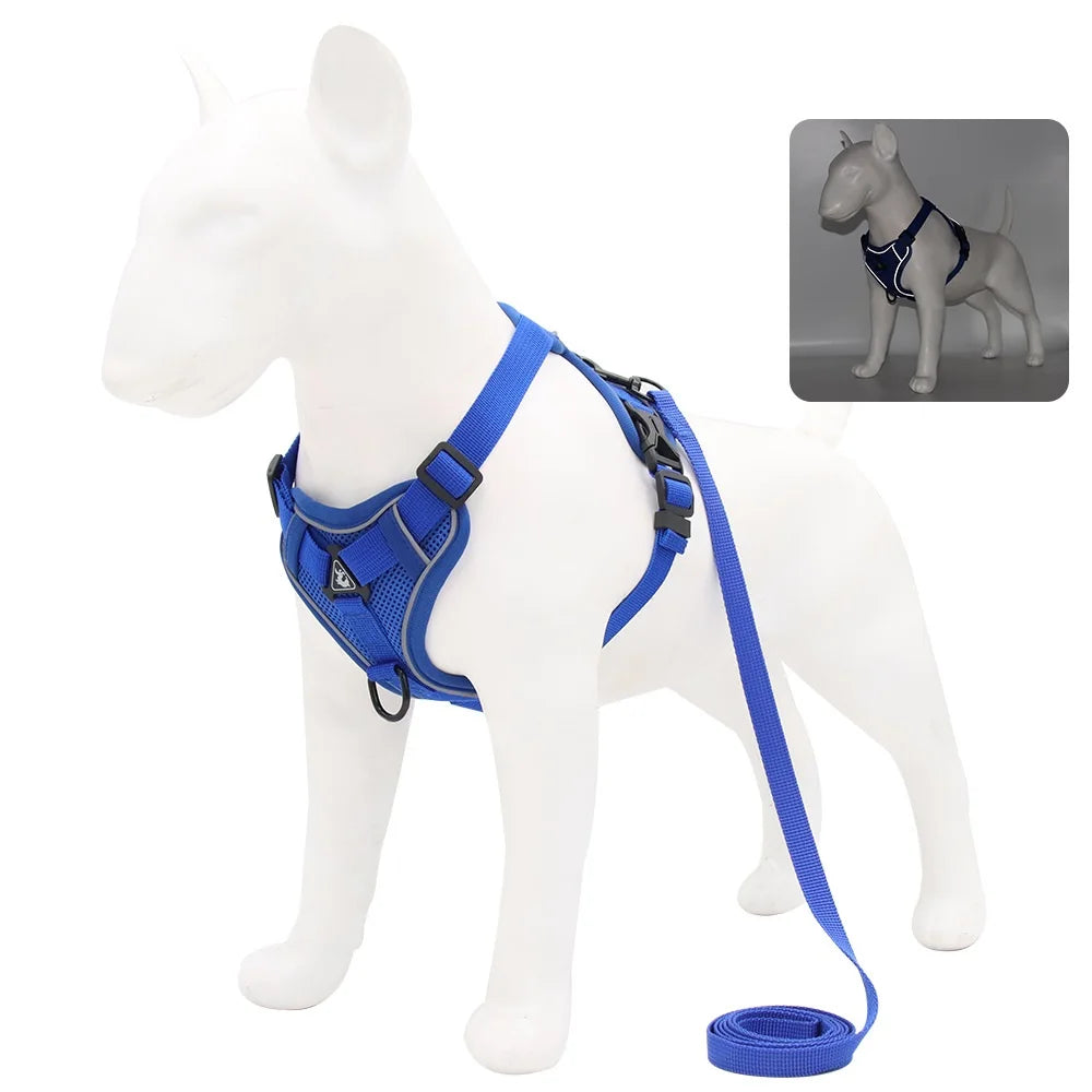 Vest Harness & Leash Set for Small Dogs