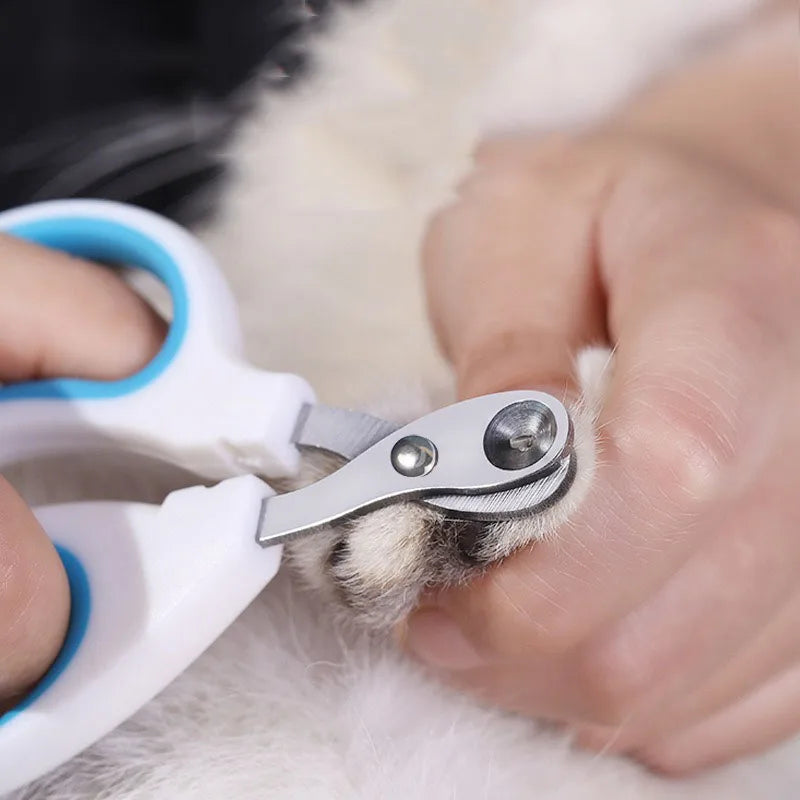 Puppy Nail Clippers Cat Claw Scissors for Dogs Beauty Clipper Scissors for Cat Nails Pet Rabbit Nail Cutter GZJJ03