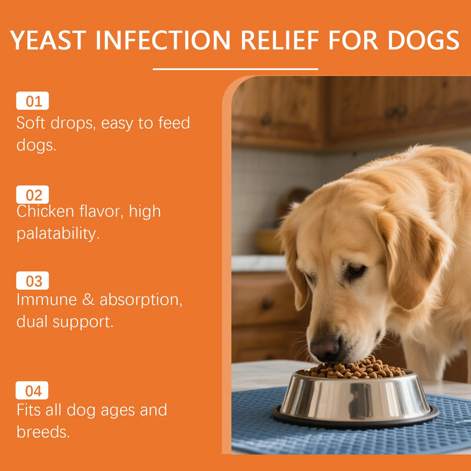 Herbal Skin & Coat Drops for Dogs
