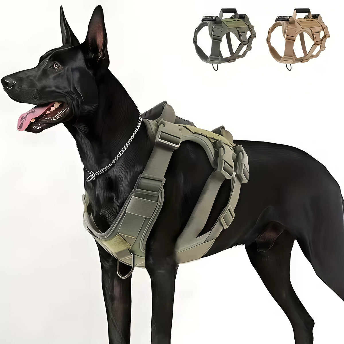 Reflective No-Pull Harness & Grooming Brush Set
