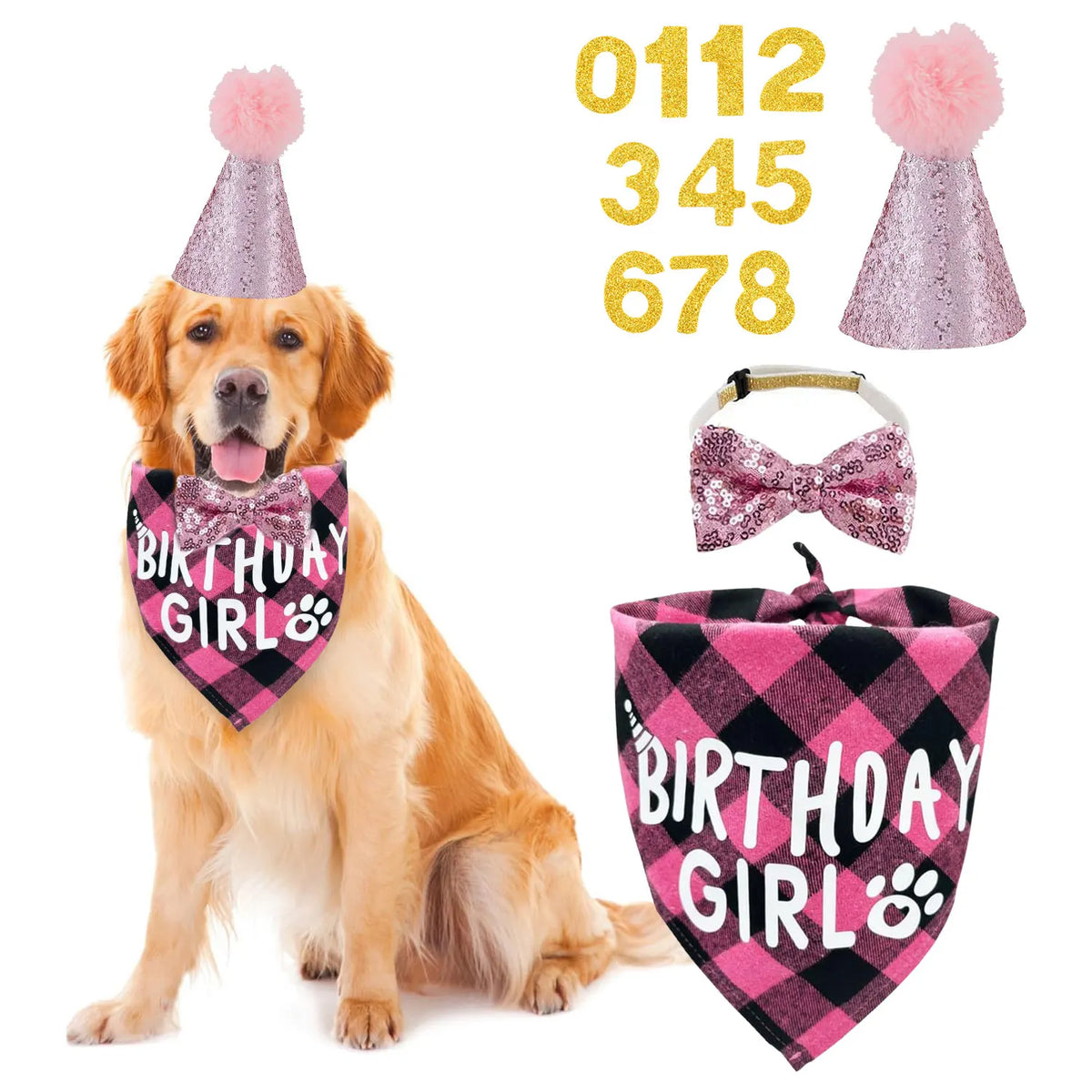 Dog Birthday Bandana, Hat & Number Set