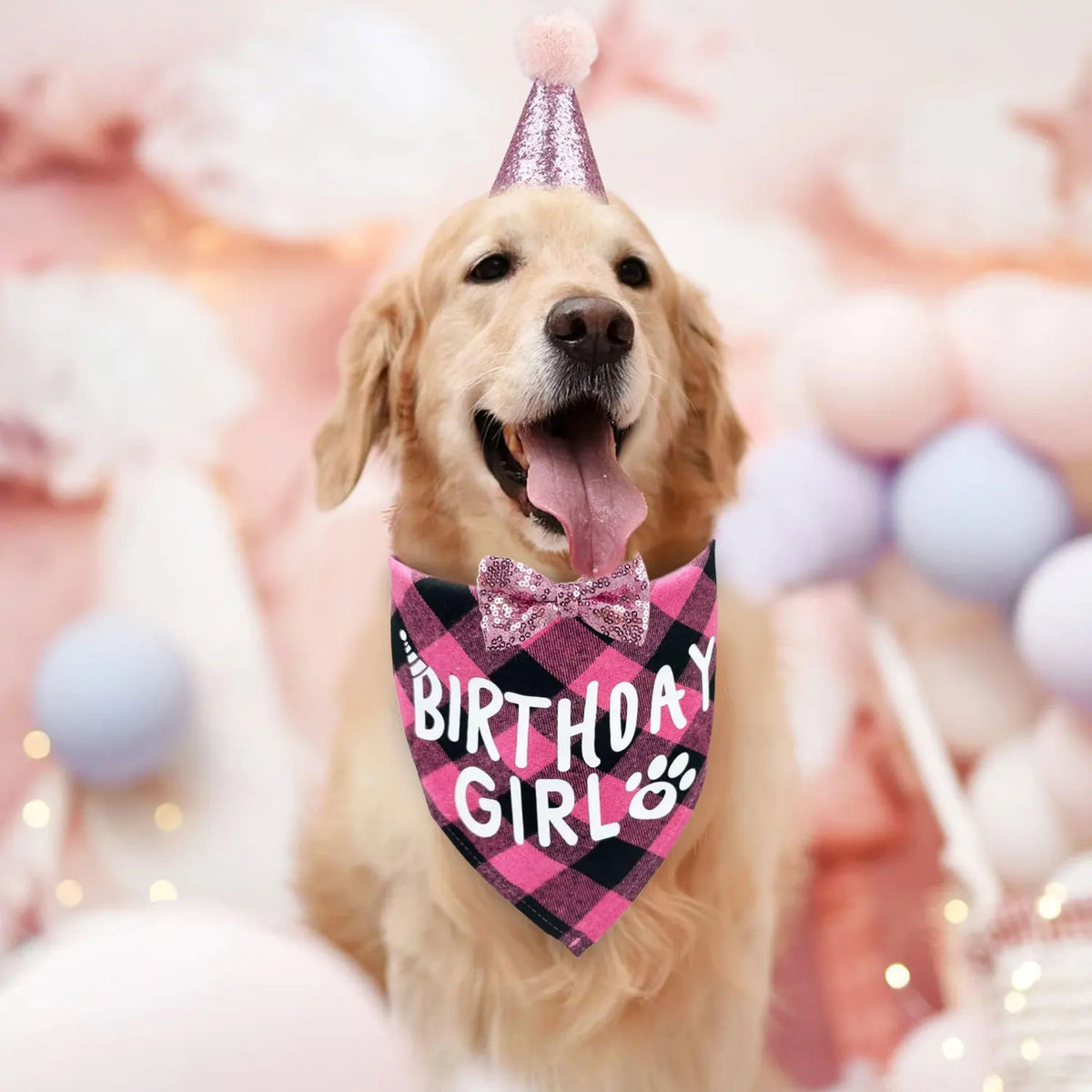 Dog Birthday Bandana, Hat & Number Set