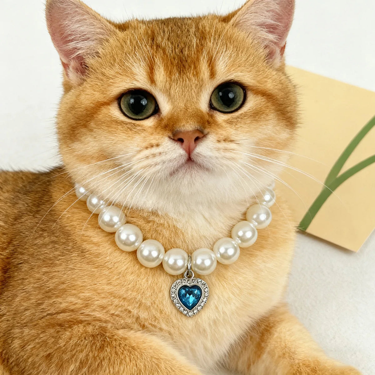 Princess Style Pet Pearl Collar for Dogs Cats - Cute Jewelry Accessory for Puppy Kitten Chihuahua Perfect Wedding Gift