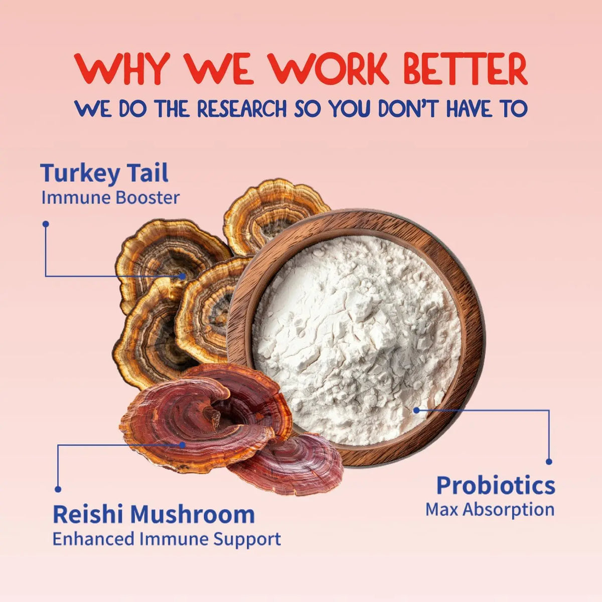 Turkey Tail Mushroom Supplement for Dogs