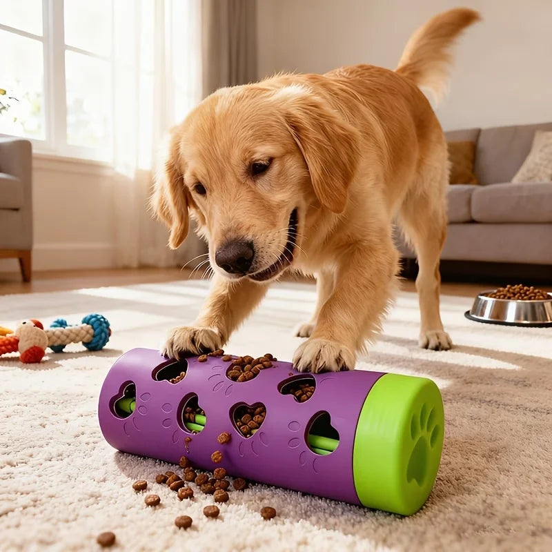 Slow Feeder Treat Dispenser & Chew Toy