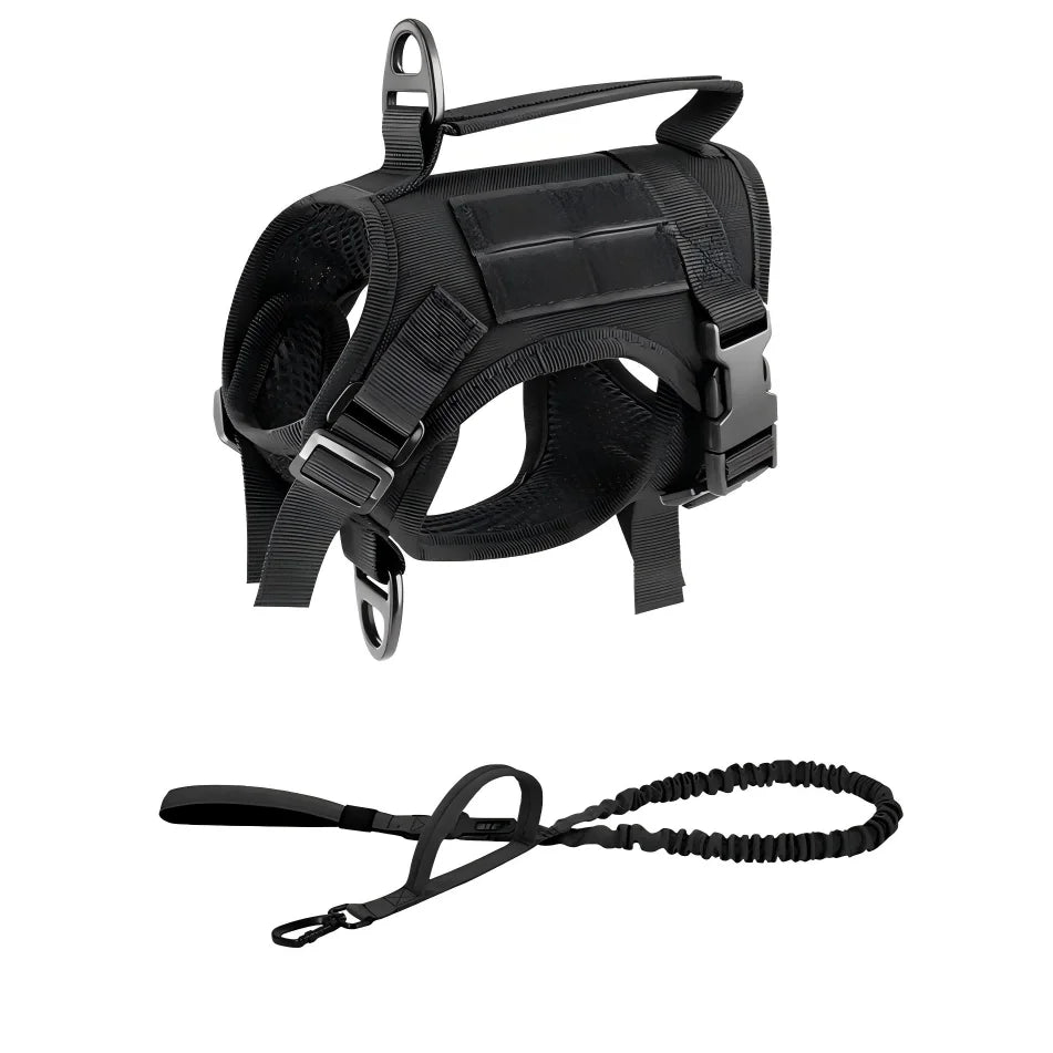 Escape-Proof Tactical Cat Harness & Leash Set