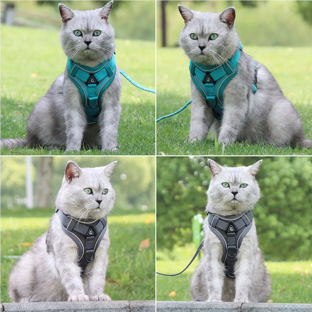 Vest Harness & Leash Set for Small Dogs