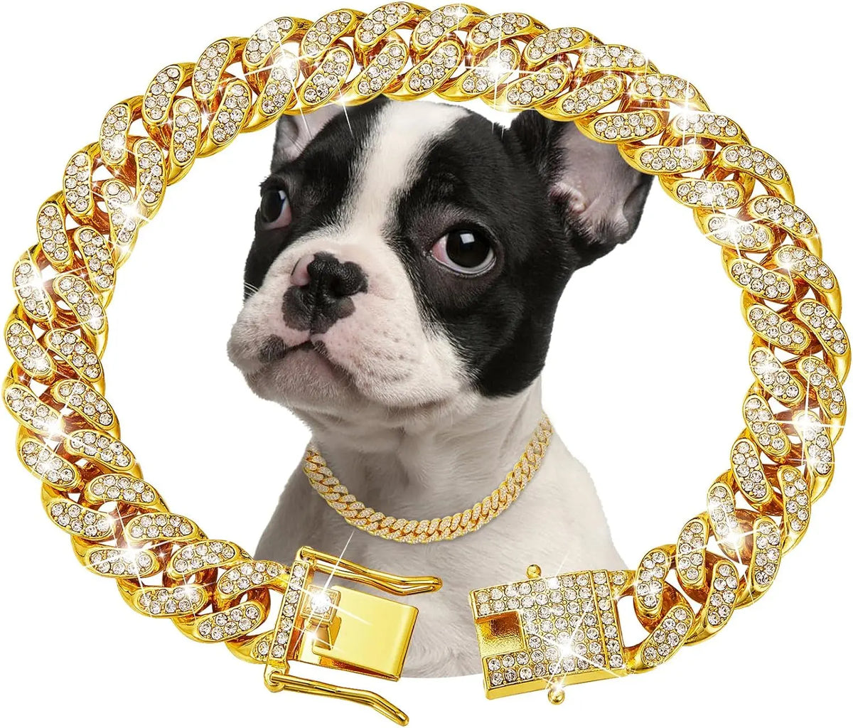 Gold Metal Chain Collar for Dogs & Cats