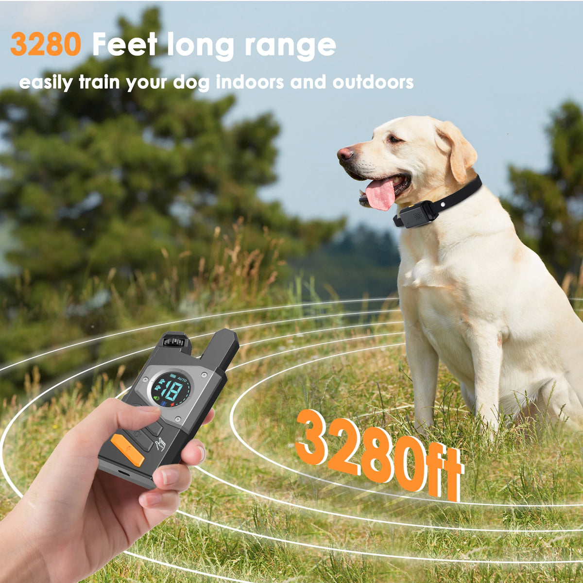 Remote Dog Training & Anti-Bark Collar