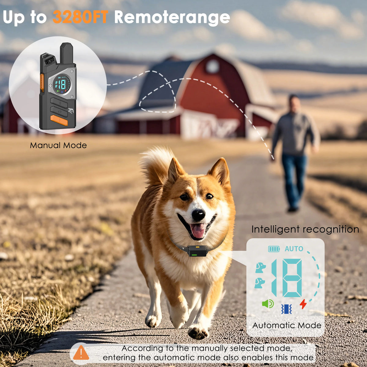 Remote Dog Training & Anti-Bark Collar