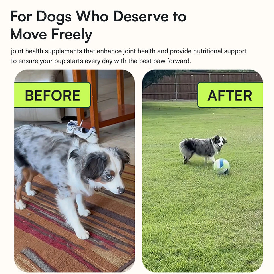 Glucosamine Hip & Joint Chews for Dogs