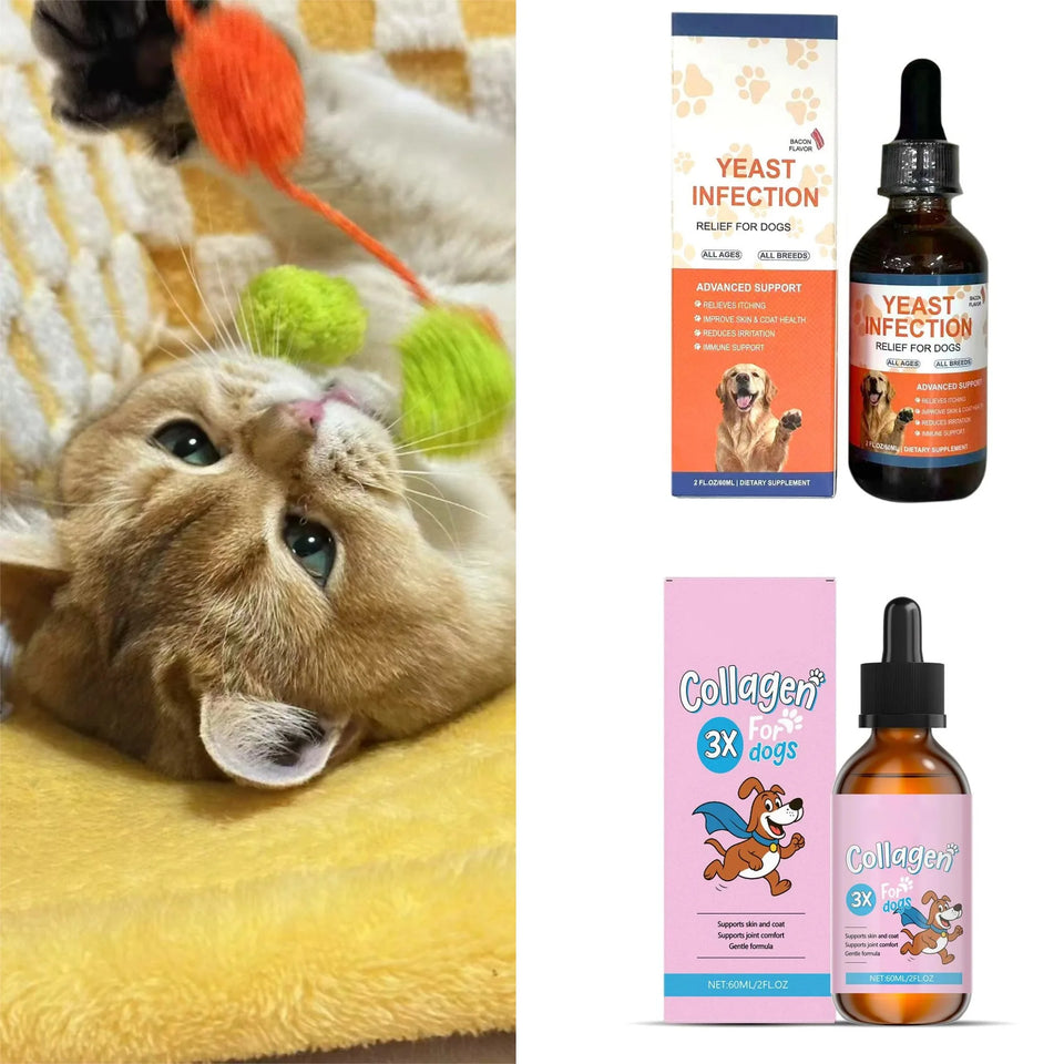 Collagen Skin & Coat Drops for Dogs