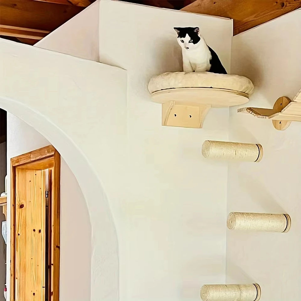 Wall-Mounted Cat Climbing Set with Hammock