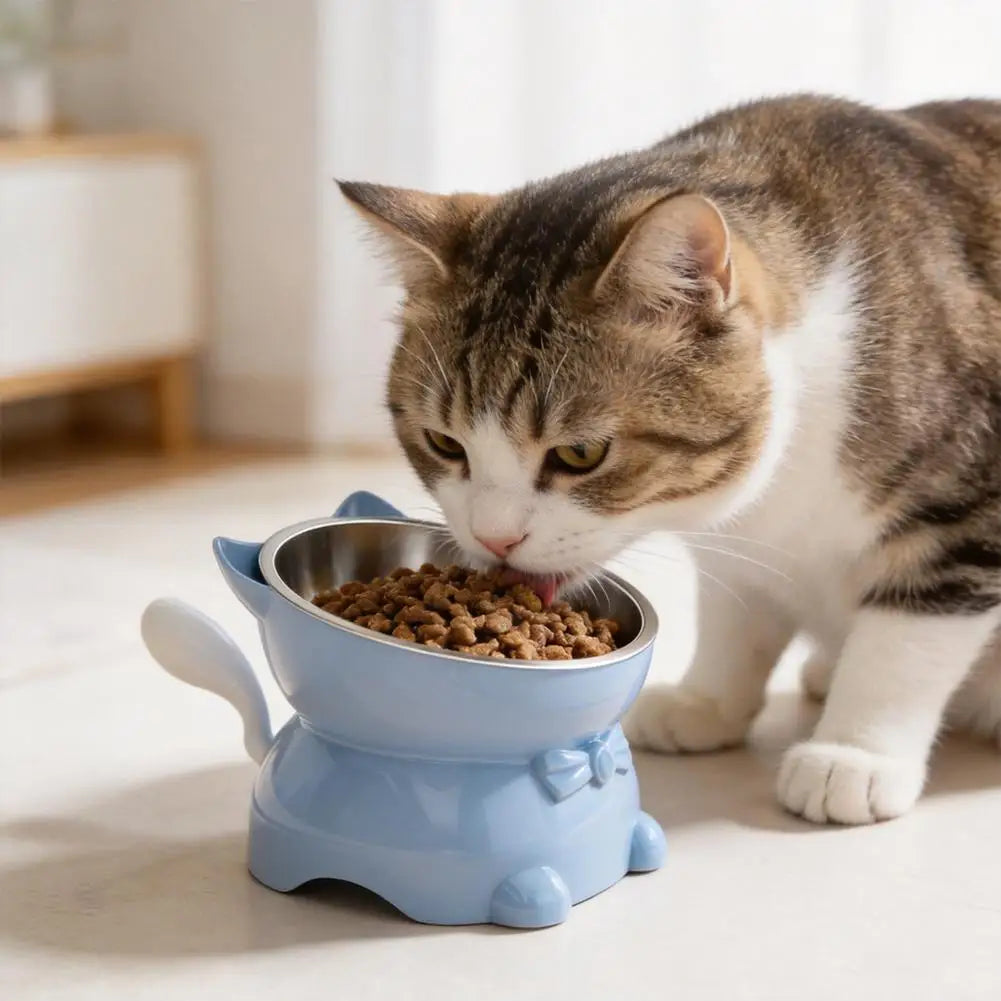 Raised Tilted Stainless Steel Cat Bowl