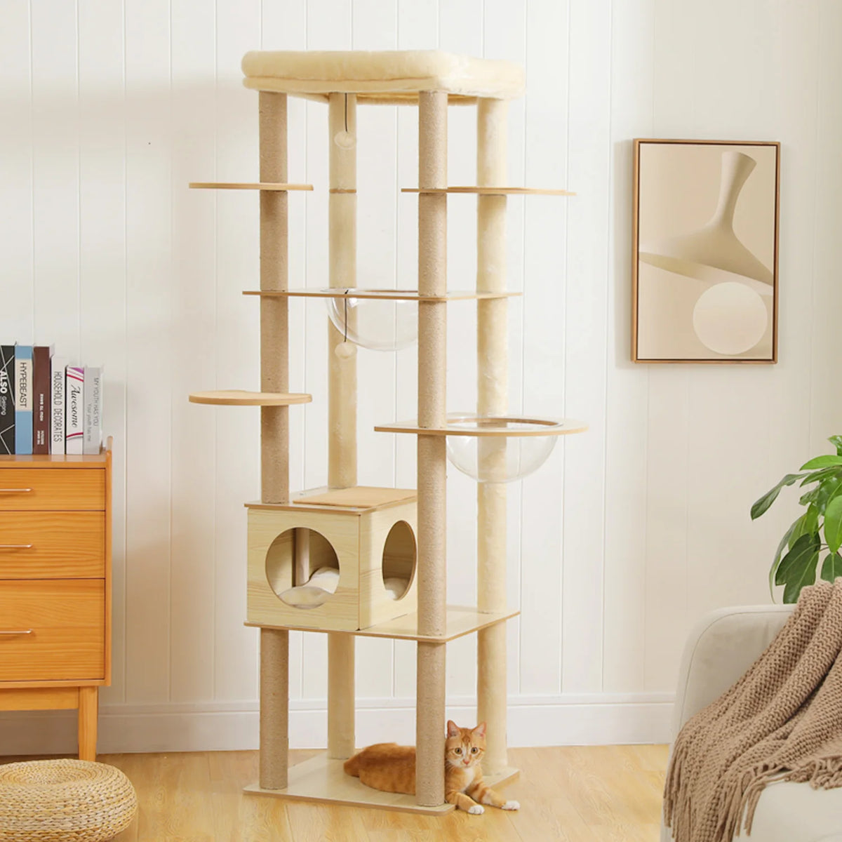 Multi-Level Wood Cat Tree with Condo & Hammock