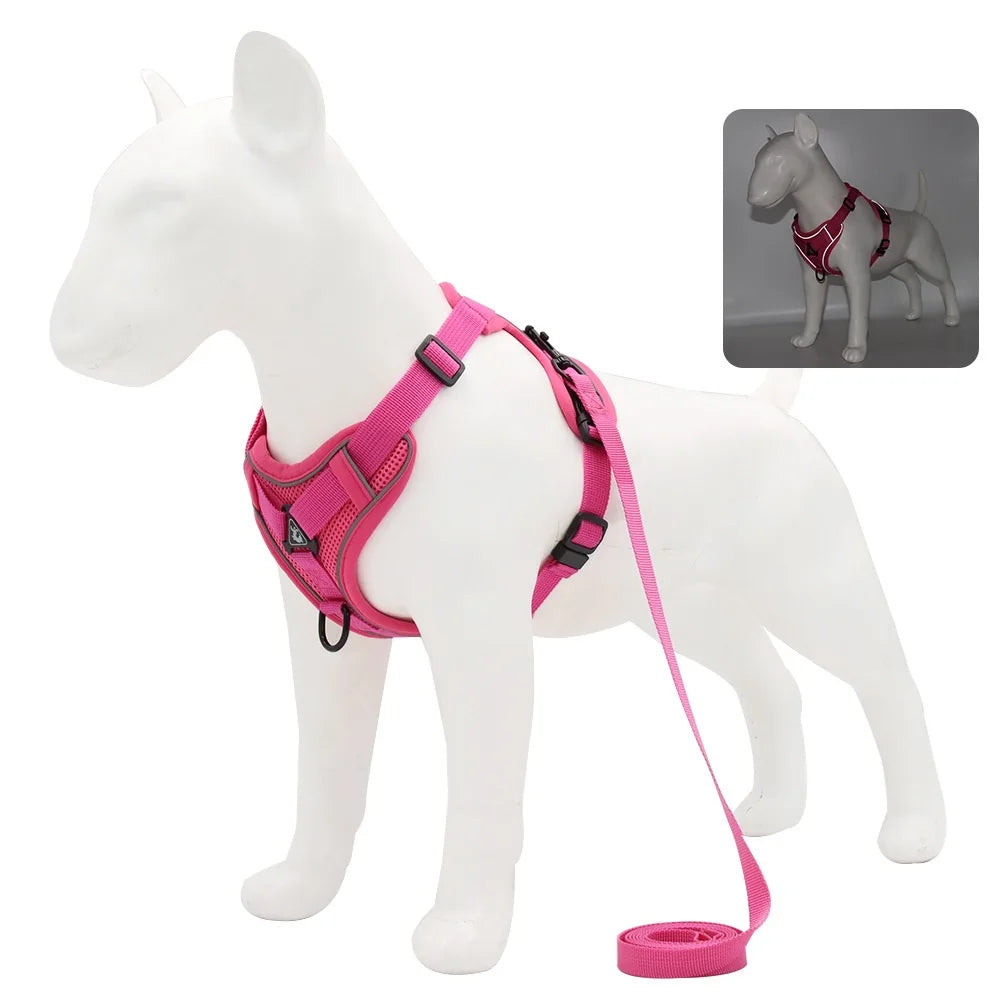 Vest Harness & Leash Set for Small Dogs