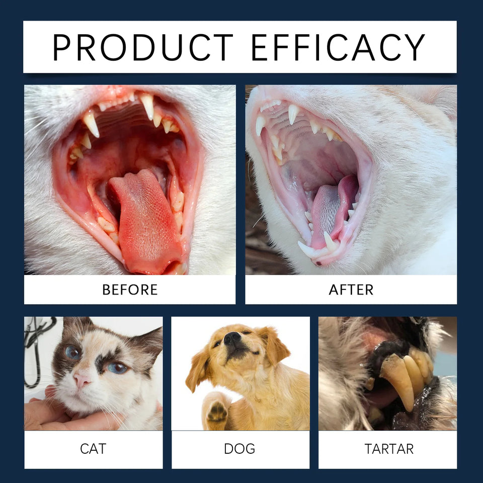 100ml Dog Cat Bad Breath Treatment Dental Water Additive Plaque Tartar Control No Brushing Teeth Cleaner Pet Oral Hygiene Solution Mouthwash Freshener for Puppy Kitten Daily Care Remover Natural Safe Effective Easy to Use Dro