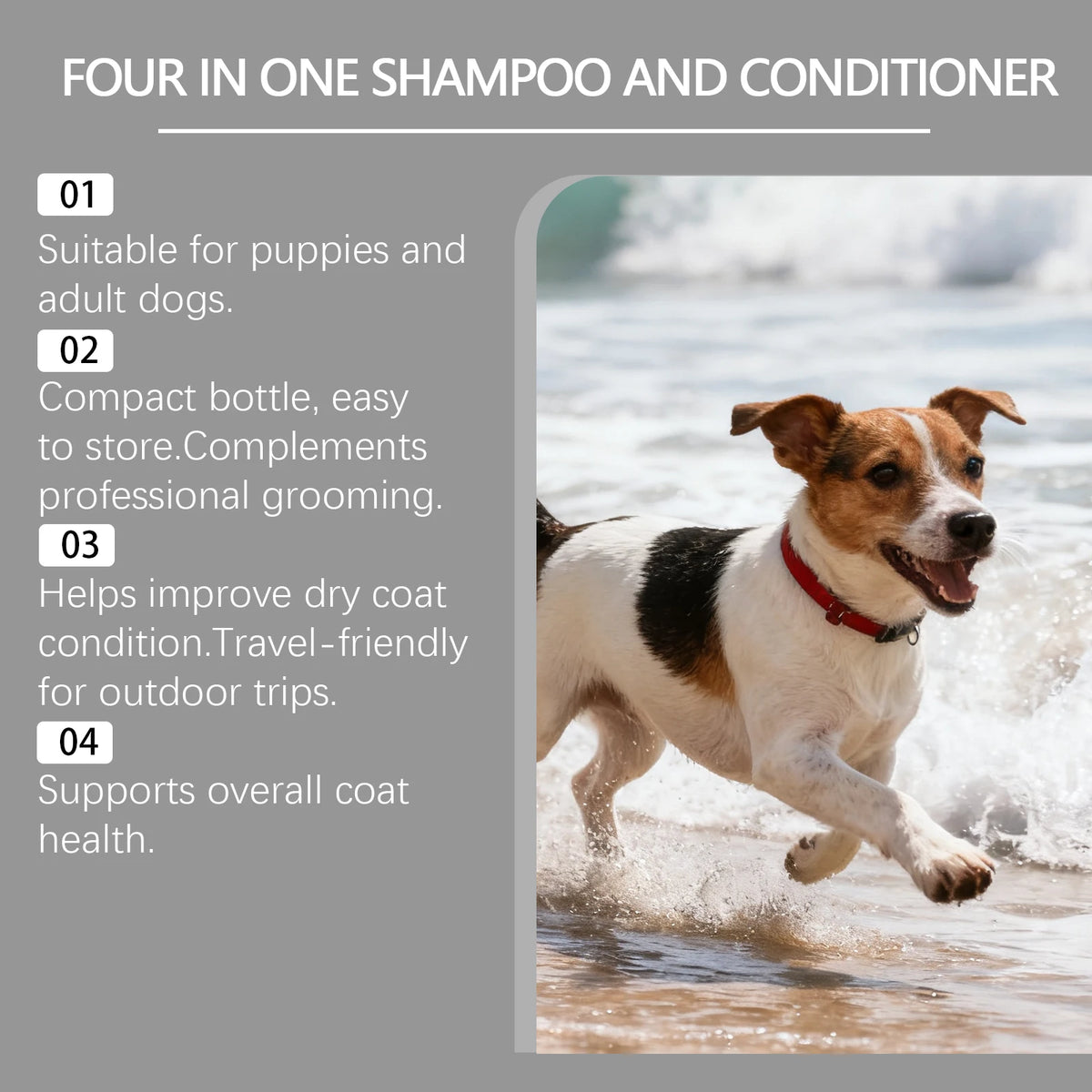 Oatmeal 4-in-1 Dog Shampoo