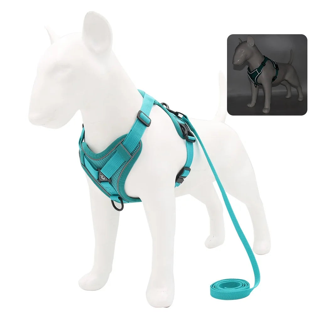 Vest Harness & Leash Set for Small Dogs