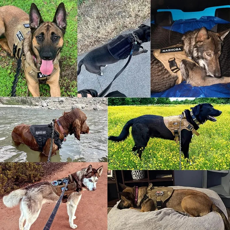 Tactical Training Harness for Large Dogs