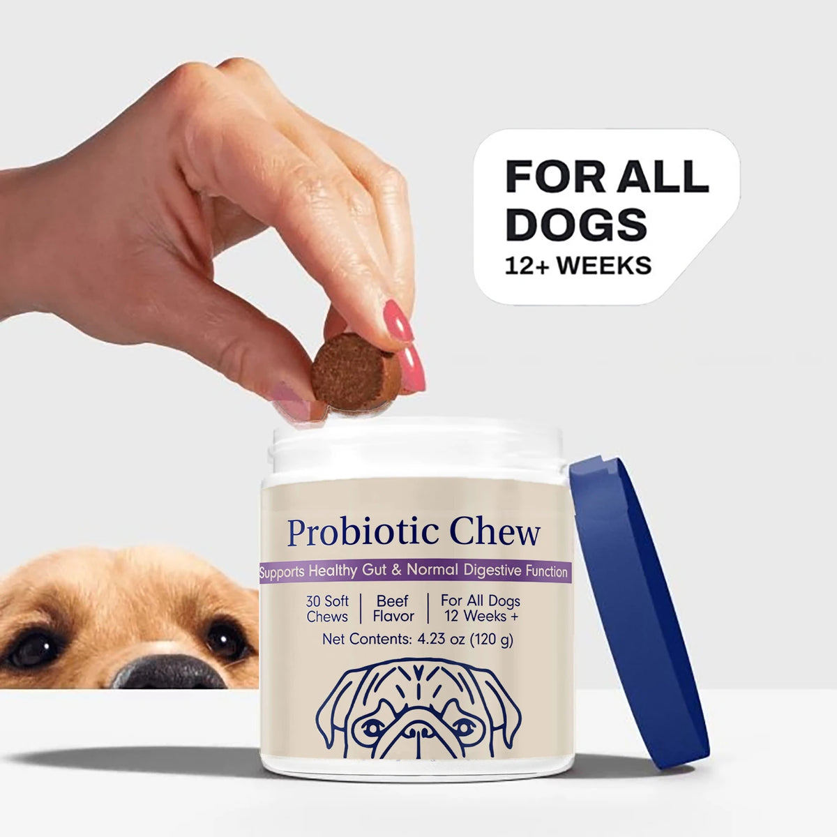 Probiotic Digestive Chews for Dogs