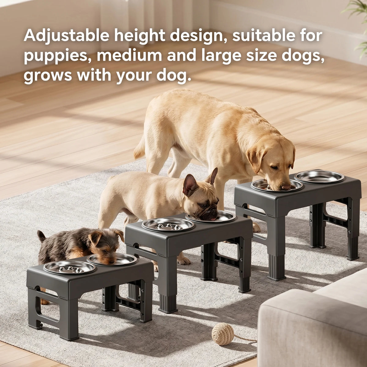 Adjustable Elevated Double Dog Bowl Stand