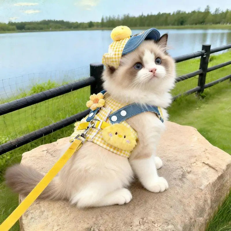 Cute Pet Collars Dog Cat Hat Spring/Summer Outing Sunshade Hat Cute Chest Strap Vest Dog Harness and Leash Set Puppy Accessories