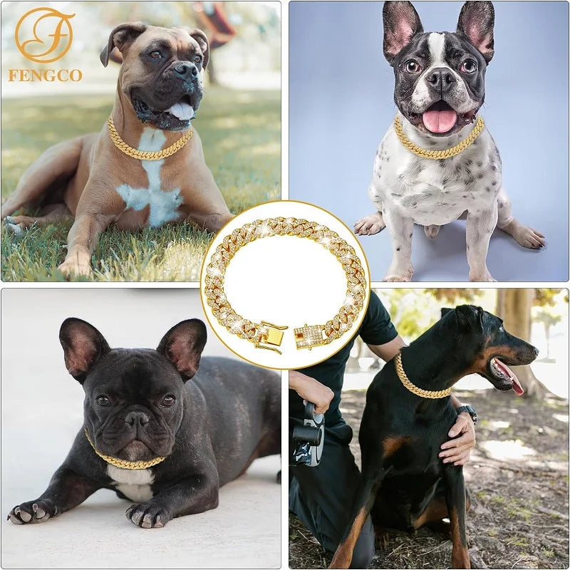 Gold Metal Chain Collar for Dogs & Cats