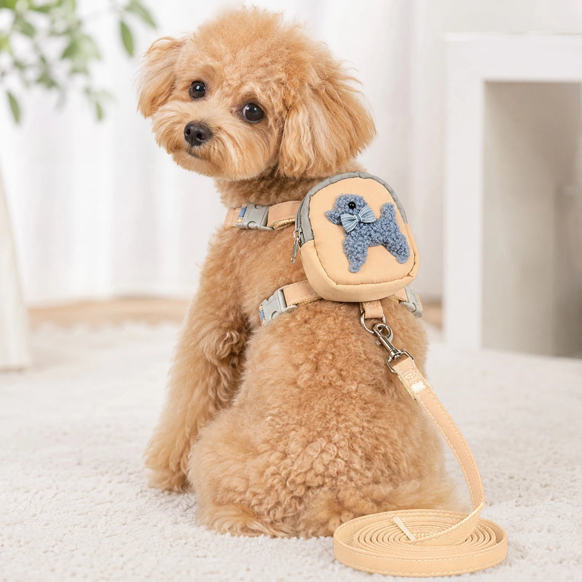Fashion Cat Dog Harness and Leash Set for Cats Small Dogs Cute Dog Harness  Perfect for Outdoor Adventures and Carrying Treats