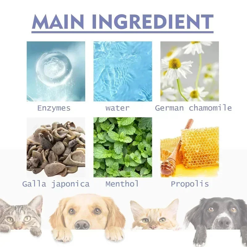 Dental Spray for Fresh Breath – MAIN INGREDIENT