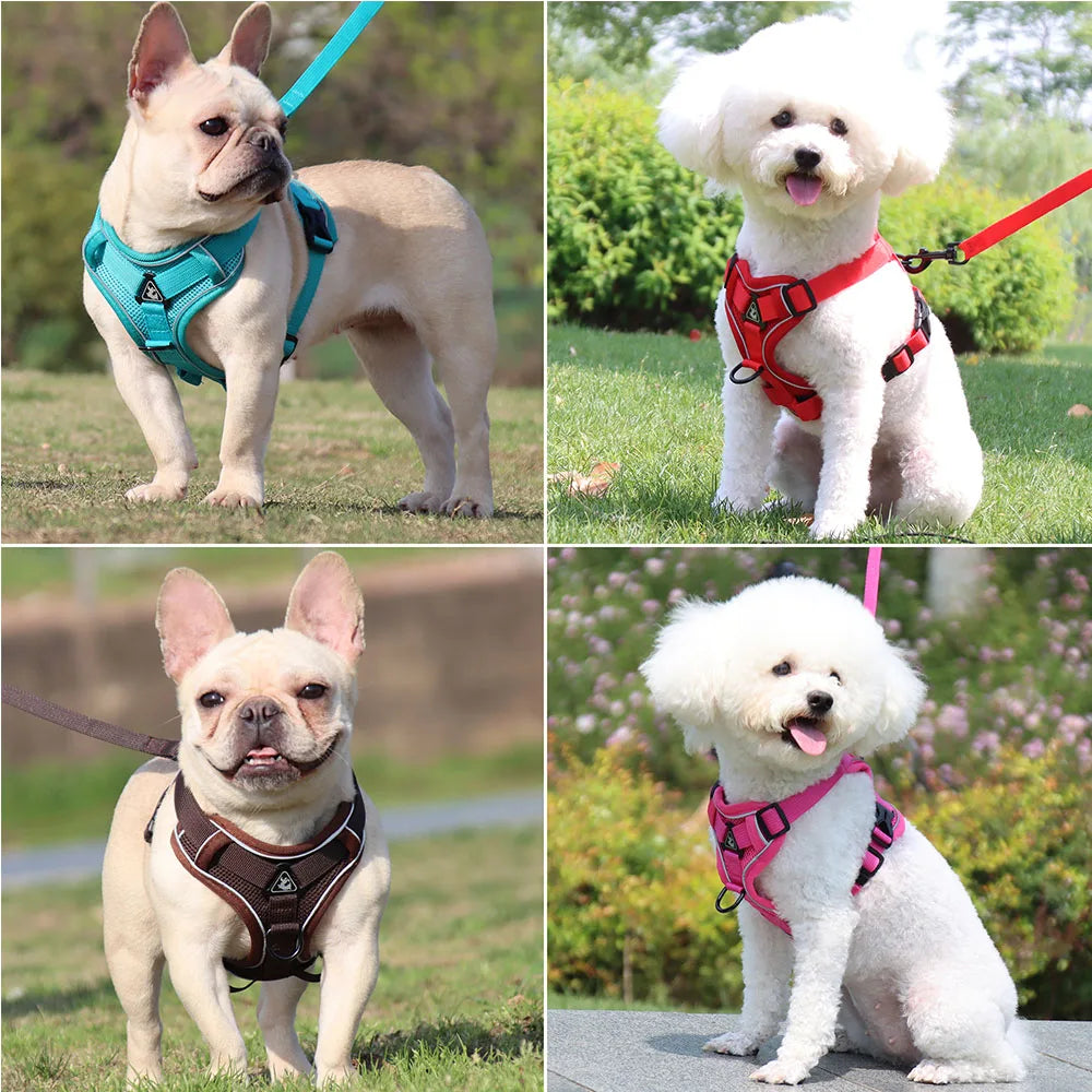 Vest Harness & Leash Set for Small Dogs