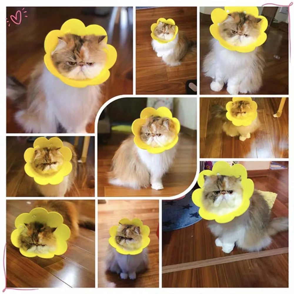 Cute Pet Protective Collars for Dogs Cats Wound Healing Protection Dog Cat Collars Anti-Bite Neck Cone Recovery Circle
