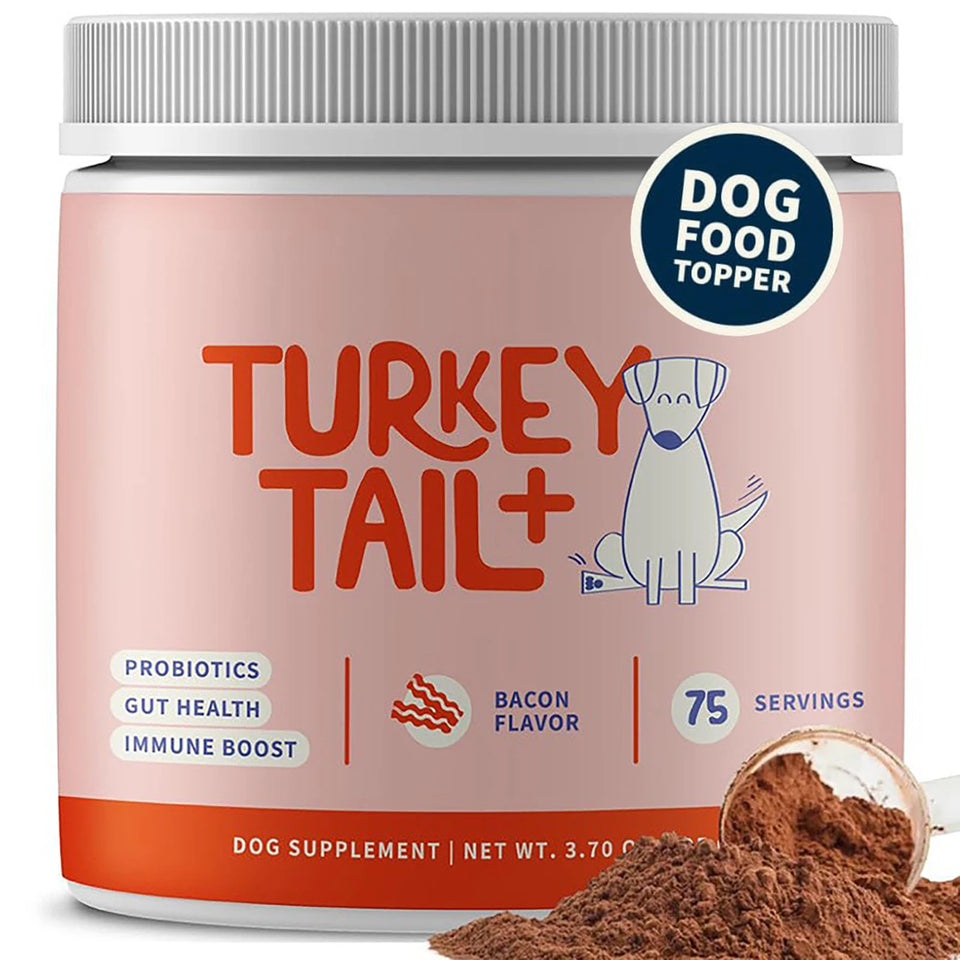 Turkey Tail Mushroom Supplement for Dogs